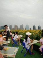 郑州市中心惊现“屋顶太阳林”!约7个篮球场那么大 - 河南一百度