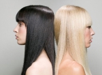 香港熙语养发护发小讲堂：白发和黑色素减少的关系 - 郑州新闻热线