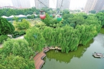 【壮丽70年 奋斗新时代】变化中的郑州市动物园：既有颜值又有文化 - 河南一百度