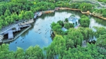 【壮丽70年 奋斗新时代】变化中的郑州市动物园：既有颜值又有文化 - 河南一百度