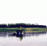 郑州龙湖上的捞草人 一人一天要打捞近千斤水草 - 河南一百度