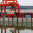 7月11日，周口中心港码头的集装箱。卢键 摄 - 中国新闻社河南分社