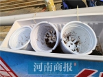 郑州航海东路“优秀红旗路段”上花盆变空盆，有的还成了垃圾桶 - 河南一百度