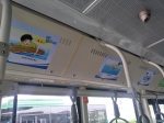 夏天溺水后如何自救？郑州防溺水主题公交车厢上线 - 河南一百度