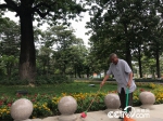 焦桐第二代守护人，77岁的魏善民老人正在清理落叶。（记者 王莉莉 摄） - 河南一百度