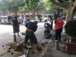 郑州建中街排查道路隔离桩 社区路队人员加班加点清理消除隐患 - 河南一百度