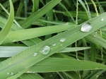 大雨又袭河南，郑州等七地局部今日有暴雨 - 河南一百度