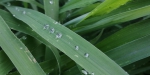 暴雨狂砸！河南今起三天有雨，小心地质灾害 - 河南一百度