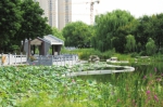 【壮丽70年 奋斗新时代】郑州南环公园：曾经垃圾填埋场 如今变身“绿宝石” - 河南一百度