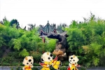 迎盛会，郑州人民公园花团锦簇 - 河南一百度