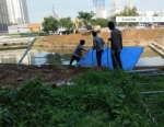 点赞！ 郑州金水河畔违建拆除 新增3000多平米绿地 - 河南一百度
