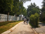 期待!郑州紫荆山公园拆墙透绿，今晚将揭开面纱 - 河南一百度