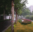 快看！郑州紫荆山公园的园景与街景融为一体啦 - 河南一百度