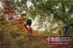 攀岩、滑草、学功夫 500余名青少年嵩山挑战自我 - 中国新闻社河南分社