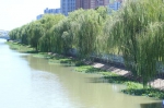 增绿约1.5万平方米，郑州东风渠“美颜”后，堪比“江南水乡” - 河南一百度