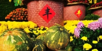 定了!中国农民丰收节9月23日开幕，今年河南主会场设在洛阳孟津 - 河南一百度