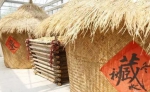 定了!中国农民丰收节9月23日开幕，今年河南主会场设在洛阳孟津 - 河南一百度