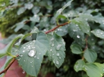 雨来了!河南降雨预报有调整：范围扩大、郑州西部列入其中 - 河南一百度