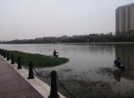 郑州贾鲁河畔处处可见垂钓者身影，公共水域禁钓还是允许？ - 河南一百度