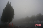 河南发布大雾黄色预警 洛阳城雾中隐身 - 中国新闻社河南分社