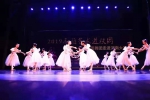 2019年“高雅艺术进校园”——中央芭蕾舞团走进河南大学专场演出举行 - 河南大学