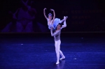 2019年“高雅艺术进校园”——中央芭蕾舞团走进河南大学专场演出举行 - 河南大学