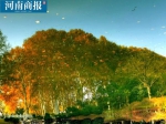 郑州已“官宣”入冬，为1961年以来第三晚 - 河南一百度