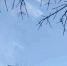 郑州蓝天刷屏朋友圈，为什么还要实施重污染天气预警? - 河南一百度