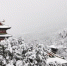 　被大雪覆盖的少林寺古朴庄严。 - 中国新闻社河南分社
