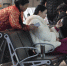直击春运首日的郑州东站：小情侣跳跃拥吻、“小候鸟”踏上归家路 - 河南一百度