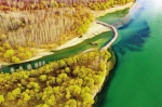 【黄河流域生态保护和高质量发展】加强流域治理筑牢生态屏障 - 河南一百度