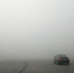 大雾没散!郑州这个地方能见度100米以下 - 河南一百度