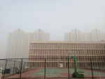 大雾没散!郑州这个地方能见度100米以下 - 河南一百度