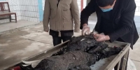 郑州绿博园内两只黑天鹅突然死亡，原因公布！ - 河南一百度