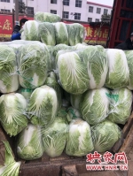 数百万斤蔬菜滞销 汝州市商务局排忧解难显担当 - 河南一百度