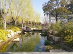 郑州月季公园内，满眼都是花景，到处都是春色 - 河南一百度