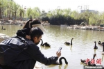 郑州市动物园恢复开园 每天限流5000人 - 中国新闻社河南分社
