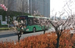 这份赏春指南请收下，在郑州坐公交能欣赏好多春光美景 - 河南一百度