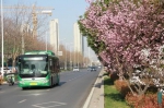 这份赏春指南请收下，在郑州坐公交能欣赏好多春光美景 - 河南一百度