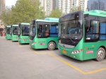 杨柳絮威胁行车安全，郑州这1299台公交对杨柳絮进行清理 - 河南一百度