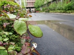 郑州今天气温持续走低 局部出现冰粒、白天降雨继续 - 河南一百度