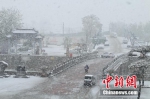 河南北部部分地区降雪 雪景图美不胜收 - 中国新闻社河南分社