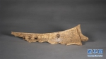 （图文互动）（2）河南发现大型商周遗址　出土甲骨文记载的罕见人祭遗存 - 河南一百度
