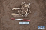 （图文互动）（4）河南发现大型商周遗址　出土甲骨文记载的罕见人祭遗存 - 河南一百度