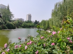 被誉为郑州最美庭院！郑州紫荆山公园的老景点成了新网红 - 河南一百度