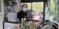 郑州“市花”月季开满车厢 和窗外春景呼应美不胜收 - 河南一百度