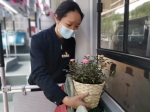 郑州“市花”月季开满车厢 和窗外春景呼应美不胜收 - 河南一百度