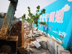 郑州路边施工挖沟，行道树被毁坏 - 河南一百度