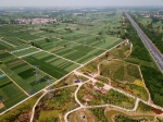 郑州打造生态廊道防护林 打造四季常绿、三季花香的流动景观 - 河南一百度