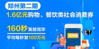 郑州1.6亿元二期消费券160秒被抢光，平均每秒抢100万元 - 河南一百度